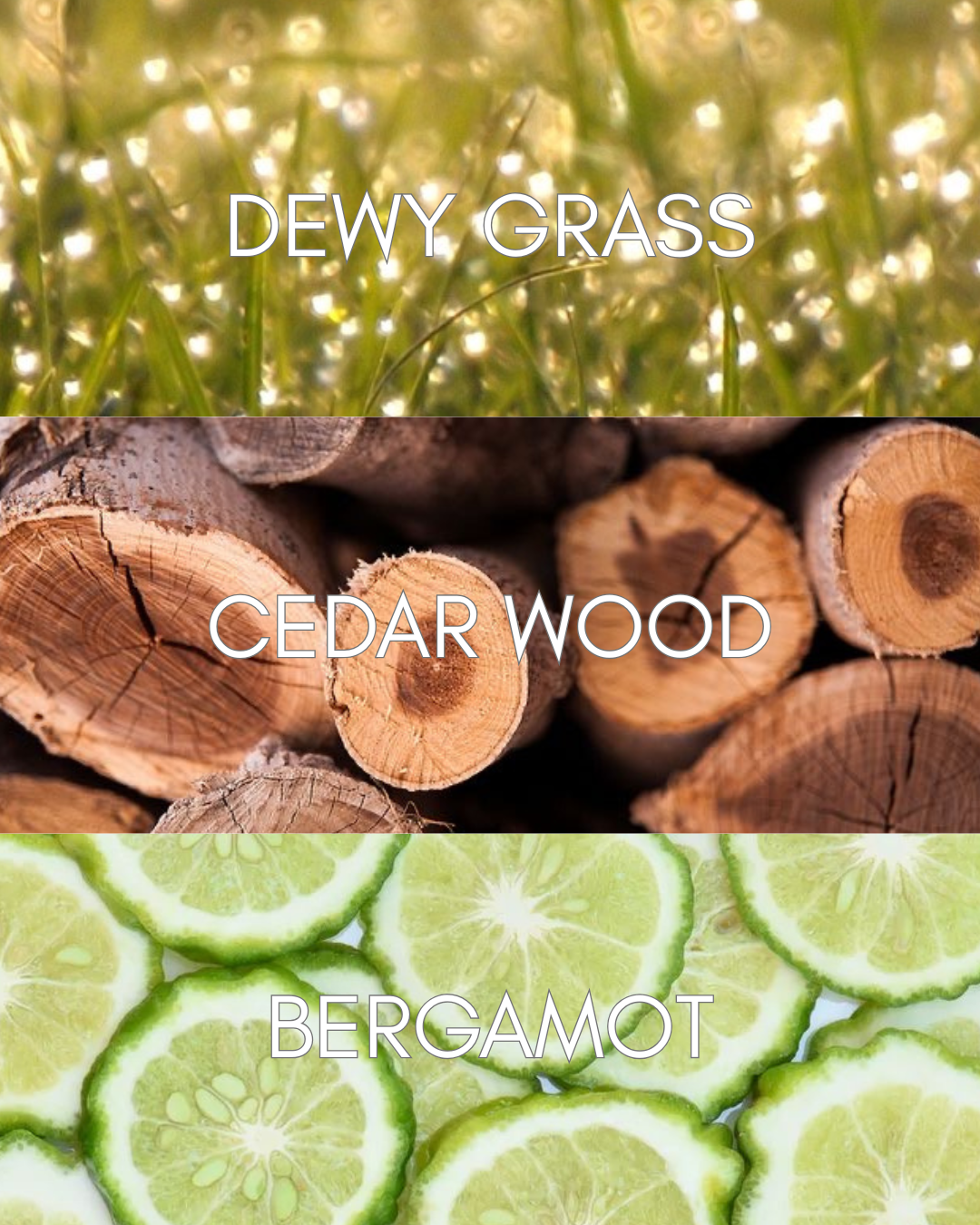 OAK DEW